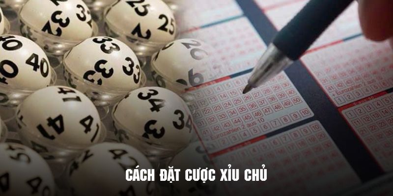 Cách đặt cược xỉu chủ Kubet